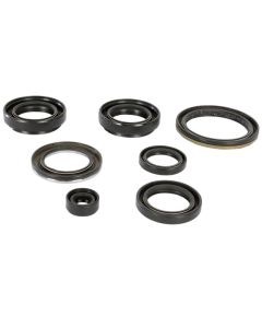 Moose Oil Seal Set Arctic Cat & Suzuki 400 2x4 Automatic FIS LTA400 KingQuad 2x4