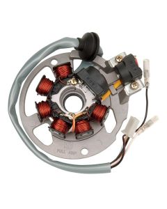 Ricks Electric Magneto Stator E-Ton AXL 50  & Polaris Predator 50 90 Scrambler  21-550