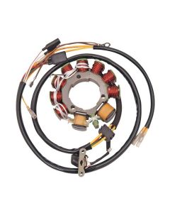 Ricks Motorsport Electric Polaris Stator 21-551