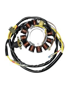 Ricks Motorsport Electric Polaris Stator 21-552