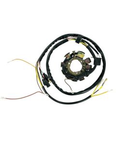 Ricks Motorsport Electric Polaris Stator 21-553