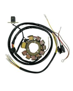 Ricks Motorsport Electric Polaris Stator 21-555