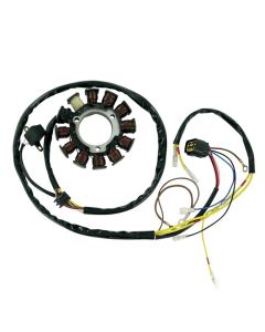 Ricks Motorsport Electric Polaris Stator 21-556