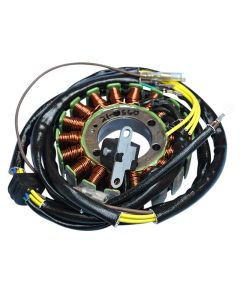 Ricks Motorsport Electric Polaris Stator 21-560
