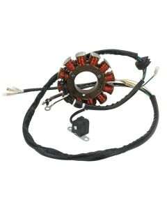 Ricks Motorsport Electric Polaris Stator 21-562
