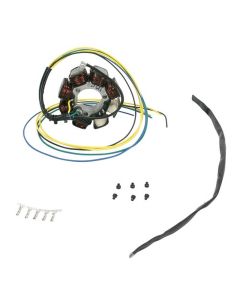 Ricks Motorsport Electric Stator 21-621