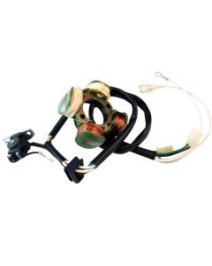 Ricks Ricks Electric High Output Stator KawasakiKLX125 & Suzuki DRZ125 21-820H