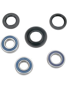 All Balls Racing Rear Wheel Bearing and Seal Kit ATV Honda TRX350 TRX450 TRX500